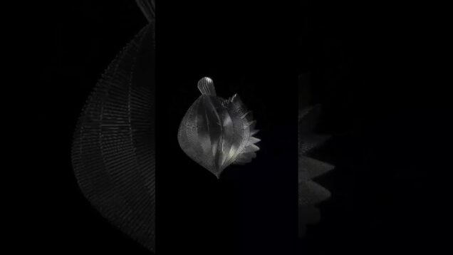 Titanium Cortex: Organic Metallic Structures in TouchDesigner